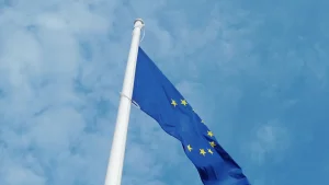 EU business rules